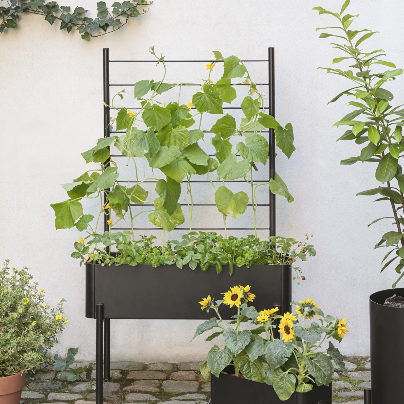 218108 2 opora pro rostliny simply grow 70 x 102 cm cerna ocel eva solo