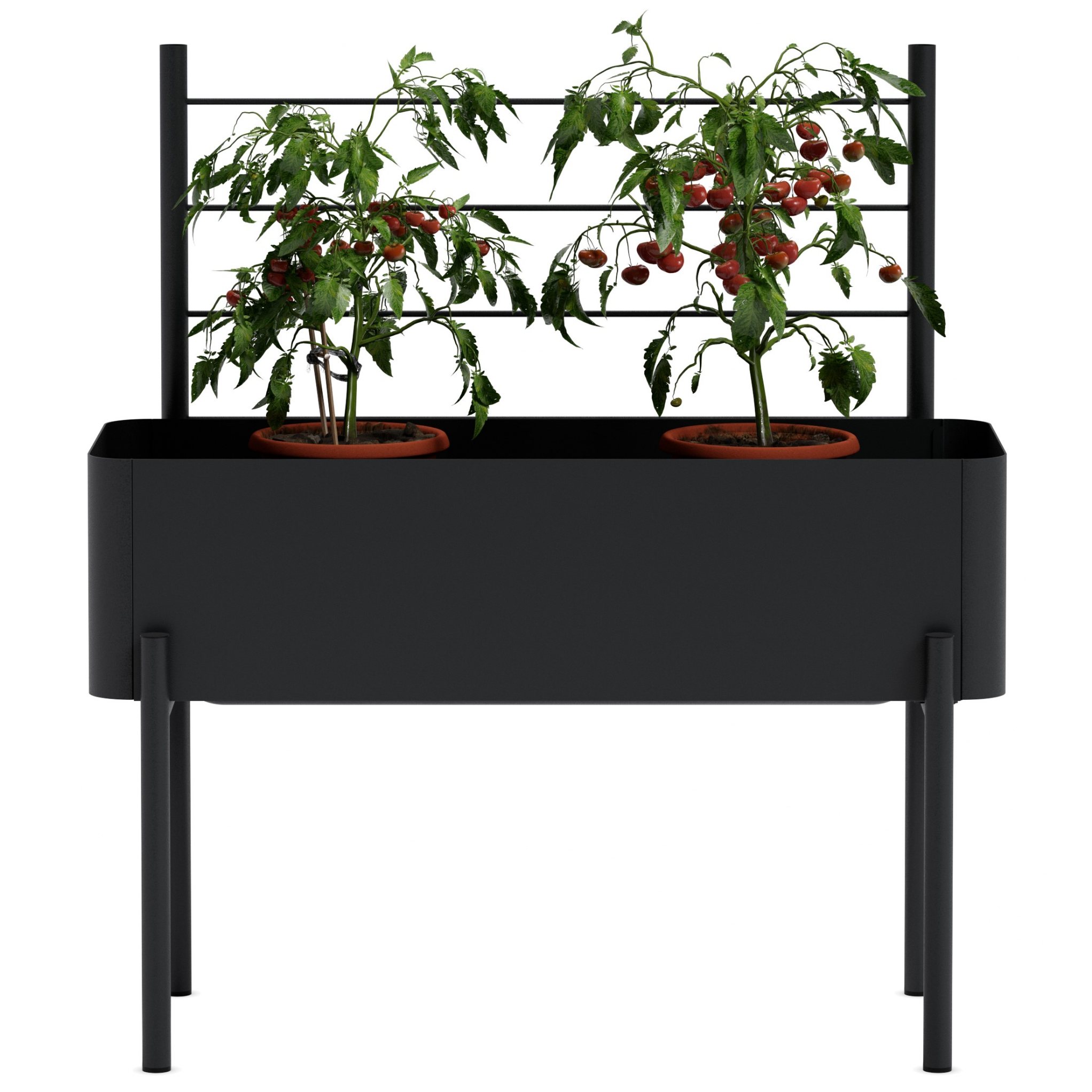 218108 6 opora pro rostliny simply grow 70 x 102 cm cerna ocel eva solo