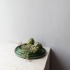 Πιάτο γεύματος CARACTERE, 28 cm, σε χακί, REVOL