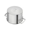 Κατσαρόλα VITALITY, 24 cm, 6 l, με καπάκι, Zwilling