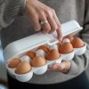 Δοχείο αποθήκευσης αβγών EGGS TO GO, 28 cm, για 10 αυγά, οργανικό γκρι, Koziol