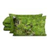 Σεντόνια διπλά σε σετ MOSS, 200 x 200 cm, Foonka