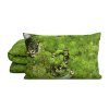 Μονό κατωσέντονο με λάστιχο MOSS, 140 x 200 cm, Foonka