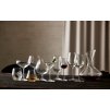 Ποτήρι για σαμπάνια JUVEL, σετ 4 τεμαχίων, 340 ml, Lyngby Glas