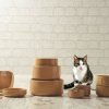 Μπολ για τροφή γάτα PETWARE CANE 13 cm, απόχρωση κανέλα, πήλινο υλικό, Mason Cash