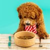 Μπολ για τροφή σκύλου PETWARE CANE 15 cm, απόχρωση κανέλα, πήλινο, Mason Cash