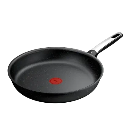 231064 panev expertise 30 cm titan tefal