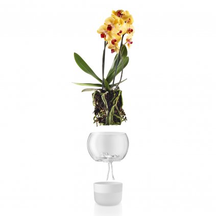 Önöntöző virágcserép 15 cm, orchideákhoz, üveg, Eva Solo