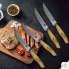 Steak készlet kések SOK Olive Sunshine Damaszkusz Dellinger 4 db