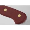 Steak kés CLASSIC COLOUR, szett 4 darab, 12 cm, ízletes sumac, Wüsthof