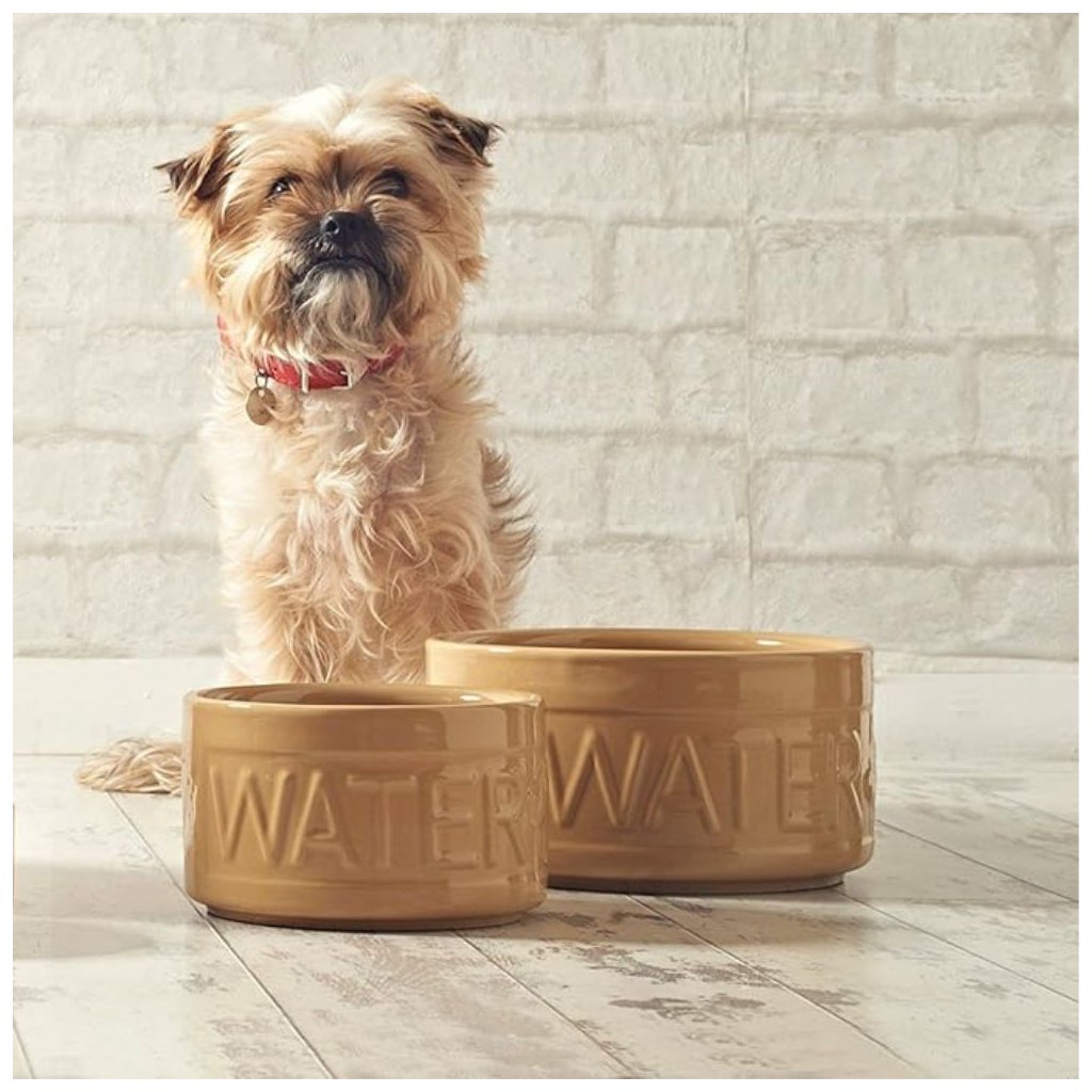 Dog bowl PETWARE CANE 20 cm cinnamon stoneware Mason Cash 22 50 Kulina