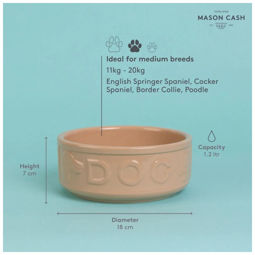 Mason cash spaniel bowl 2025