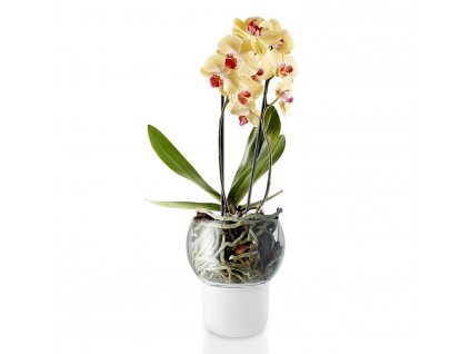 Self-watering flowerpot 15 cm, for orchids, glass, Eva Solo