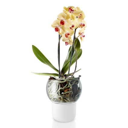 Self-watering flowerpot 15 cm, for orchids, glass, Eva Solo