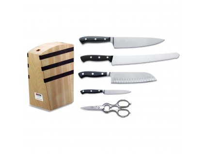 Kitchen knives PREMIER PLUS with magnetic block, set of 5, stainless steel, F.DICK