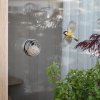 Bird feeder SUET, for windows, Eva Solo