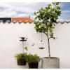 Bird feeder, hanging, light, Eva Solo