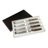 Steak knife set EPICURE, 4 pcs, Wüsthof