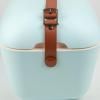 Cooler box CLASSIC 20 l, light blue, Polarbox