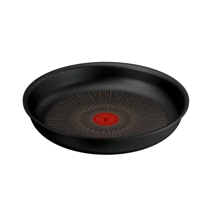 231067 panev ingenio excellence fusion 26 cm titan tefal
