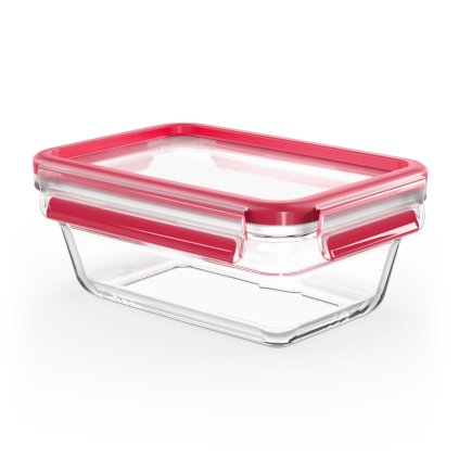 Maisto laikymo indas MASTER SEAL GLASS N1040810 850 ml, Tefal
