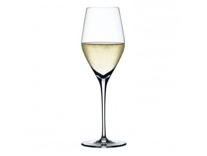 Šampano taurė AUTHENTIS, 4 vnt. rinkinys, 270 ml, Spiegelau