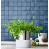 Savaime pasilaistantis gėlių vazonas HERB GARDEN GOURMET, WMF