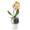 Savaime pasilaistantis gėlių vazonas 15 cm, orchidėjoms, stiklinė, Eva Solo