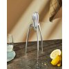 Citrusinių vaisių spaustuvas JUICY SALIF, Alessi