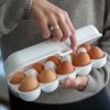 Kiaušinių laikymo dėklas EGGS TO GO 28 cm, talpina 10 kiaušinių, organinės pilkos spalvos, Koziol