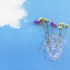 Vaza LOVE IN BLOOM 25 cm, stiklas, Seletti