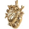 Vaza LOVE IN BLOOM 25 cm, aukso spalvos, Seletti