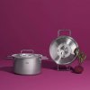 Aukštas puodas PURE 20 cm, sidabro spalvos, nerūdijantis plienas, Fissler
