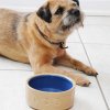Dubenėlis šuniui PETWARE CANE 18 cm, cinamono/mėlynos spalvos, akmens masės, Mason Cash