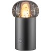 Nešiojamas stalinis šviestuvas IRIS 18 cm, LED, metalo spalvos, aliuminis, Blomus