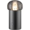 Nešiojamas stalinis šviestuvas IRIS 18 cm, LED, metalo spalvos, aliuminis, Blomus