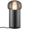 Nešiojamas stalinis šviestuvas IRIS 18 cm, LED, metalo spalvos, aliuminis, Blomus