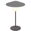 Nešiojamas stalinis šviestuvas ANI MINI 21 cm, LED, šiltai pilkos spalvos, aliuminis, Blomus