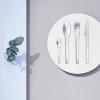 Stalo šakutė EM 21 cm, sidabro splavos, nerūdijantis plienas, Stelton