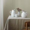 Vakuuminis ąsotis AMPHORA 1 l, 24 cm, baltos spalvos, plastikas, Stelton