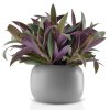 218585 2 kvetinac stone 16 cm seda keramika eva solo