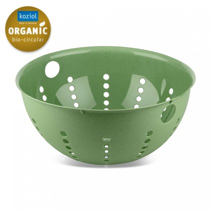 Vergiet PALSBY L, 30 cm, natuurlijk bladgroen, Koziol