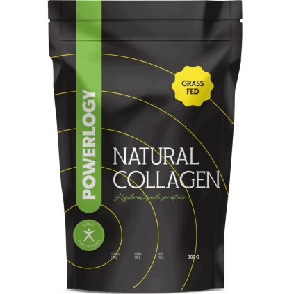 210046 kolagen 300 g prirodni prasek powerlogy