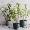 Bloempot RECYCLED 15 cm, zand, Rosendahl
