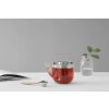 Theepot met infuser BJORN 650 ml, glas, Viva Scandinavia