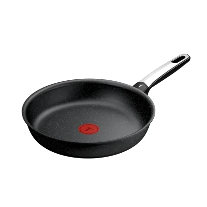 231049 panev expertise 26 cm titan tefal