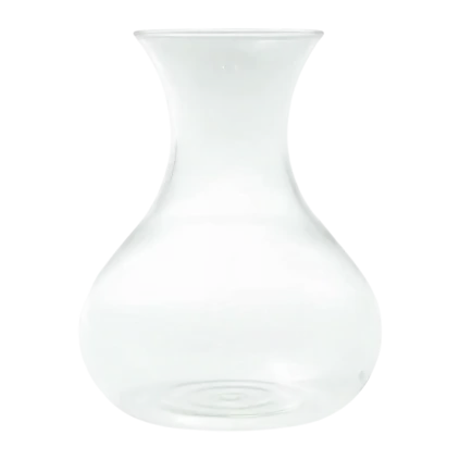 132050 nahradni sklo pro tea maker 1 0 l eva solo