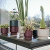 Vaso RECYCLED 15 cm, areia, Rosendahl