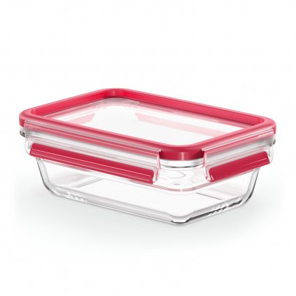 Recipient pentru depozitarea alimentelor MASTER SEAL GLASS N1040610 700 ml, Tefal