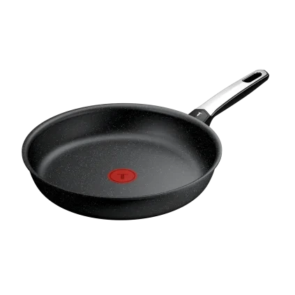 231055 panev expertise 28 cm titan tefal